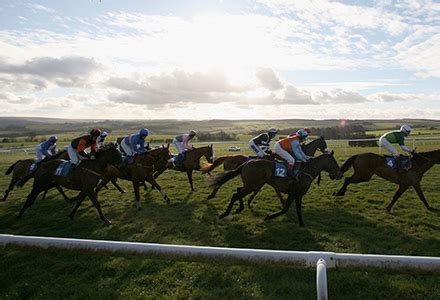 hexham race tips|UK Horse Racing Tips: Hexham .